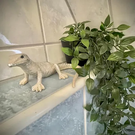 Casa Jungle Glanz Deluxe *