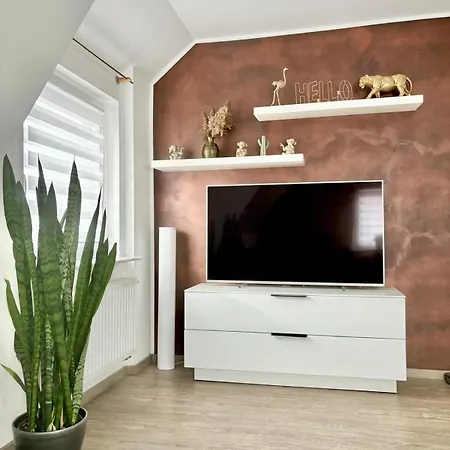 Casa Paletta -Modern -Terrasse -Parkplatz -Kueche
