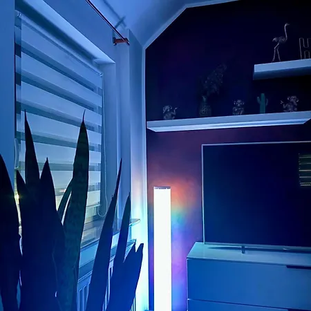 Casa Jungle Glanz Deluxe *