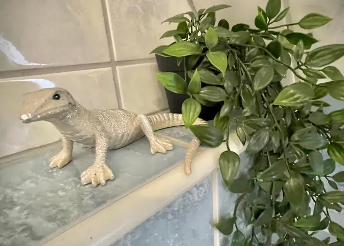 Casa Jungle Glanz Deluxe *