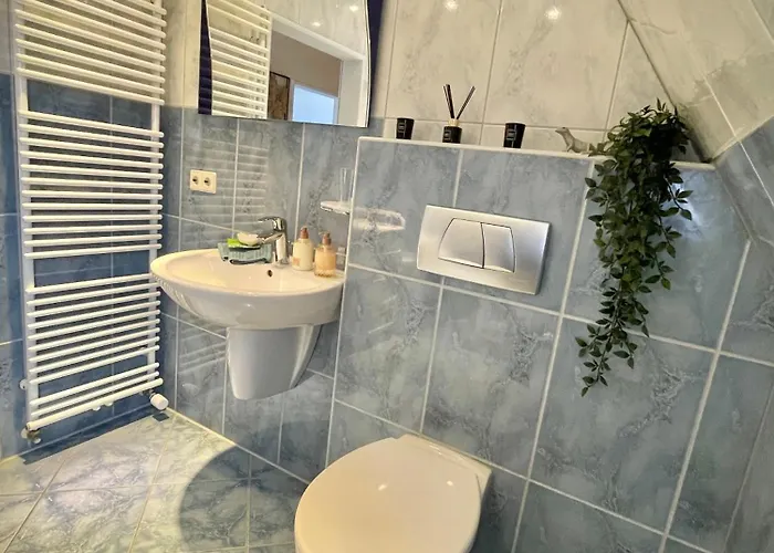 Casa Jungle Glanz Deluxe